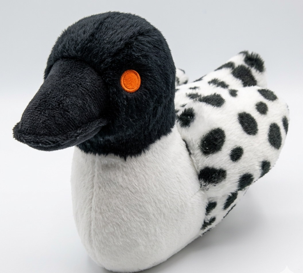 Loon Pet Toy - Looney