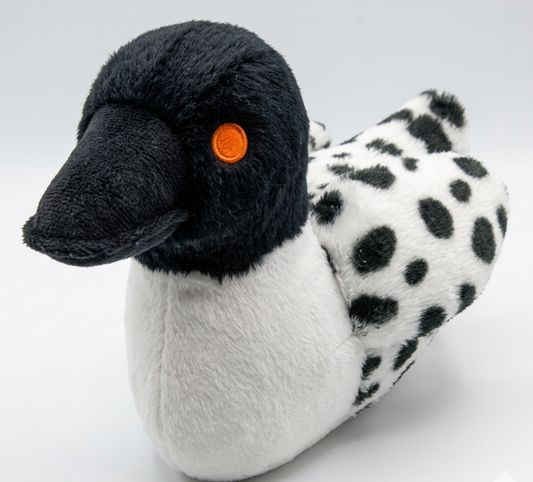 Loon Pet Toy - Looney